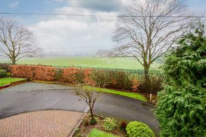 Photo 16- click for photo gallery